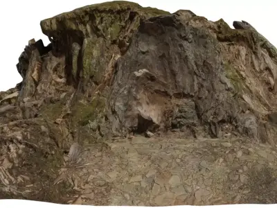 Forest Stump Rock Hill Low-poly 3D model