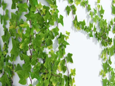 LowPoly Ivy wall Low-poly 3D model