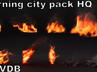 Burning city pack High Quality VDB animated 3D model