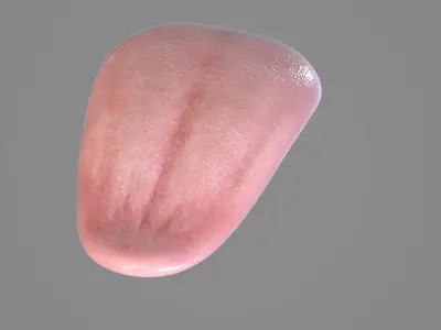  Realistic Human Mouth 