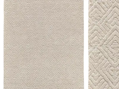 TALSARI HAND-KNOTTED SILK WOOL RUG 3D model
