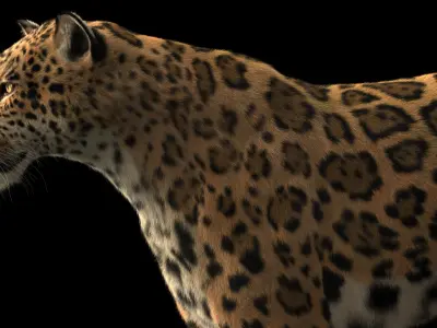  JAGUAR ANIMATED XGEN-CORE(1) 