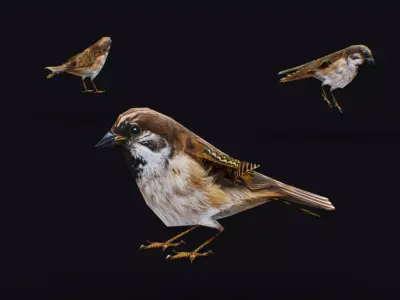 Realistic Sparrow Flock Animated Bird Swarm Shoal Birds Low-poly 3D model
