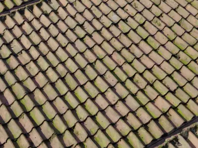 Mossy Clay S Tiles Roof Texture