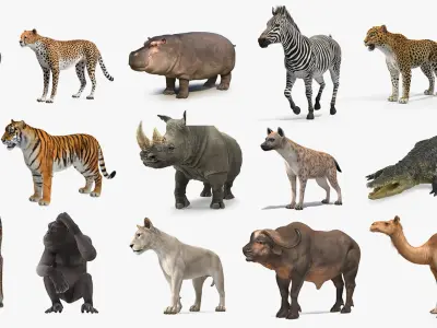  African Animals Collection 12 