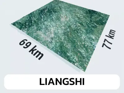 Liangshi China City Landscape 3D Model 3D model