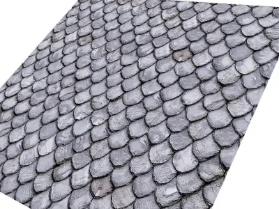 Classic roof Texture