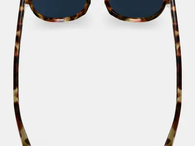 Sydney Sunglasses in Brioche Tortoise 3D model