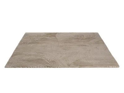 Waves Honey RUG 3D model