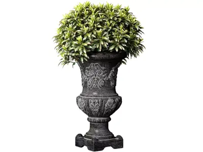 Decorative tree plant shrub classic flower vase planter vase urn 3D model
