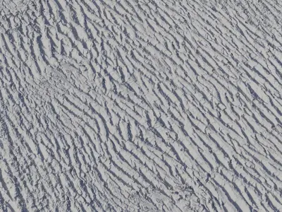 Mossy Oak Bark PBR Texture 4K  Texture