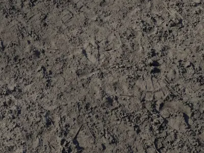 Compacted Muddy Soil with Twigs Texture