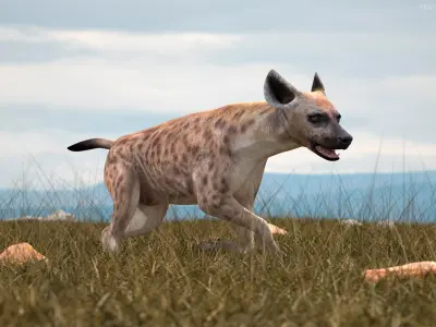  African Mammals Rigged for Maya Collection 2 