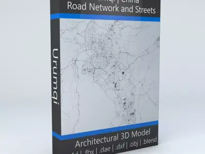 Urumqi Road Network and Streets 3D model