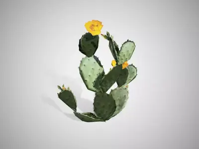 Prickly Pear Cactus Tree Low-poly 3D model