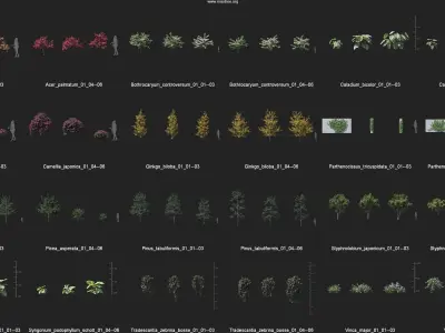 Maxtree Plant Models Vol 86 - Mesh 3D model
