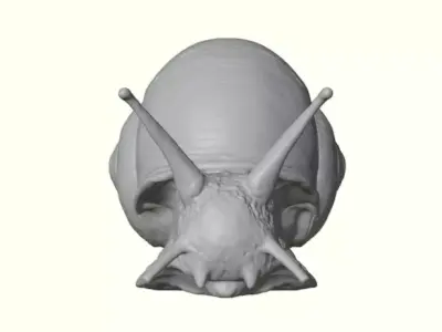 Woodland Garden Snail 3D print model