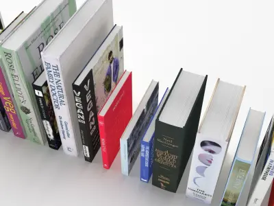 Collection of hardcover books 3D model
