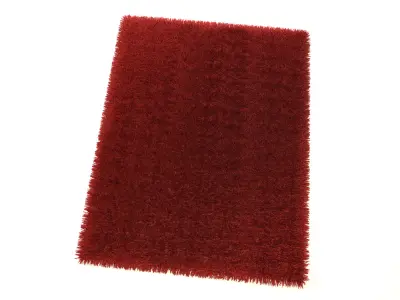 Carpet fur 3D model