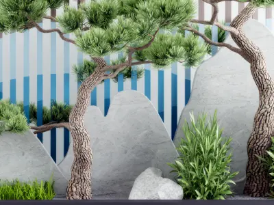 courtyard style landscape garden New Texture