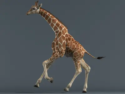  Giraffe Fur Animated 