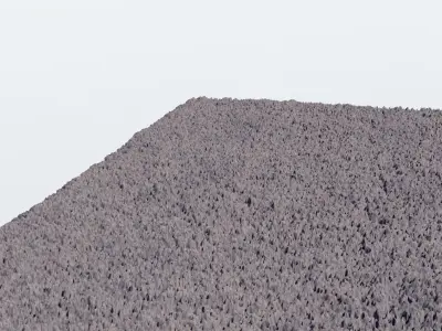 carpet hampen 3D model