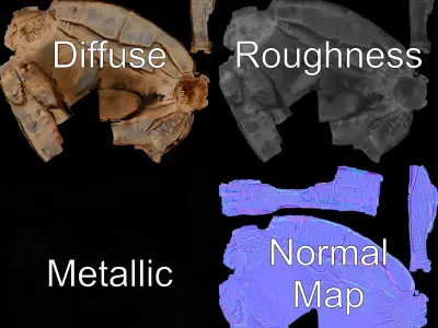 Tree Bark Texture Model Pack with High Detail Texture