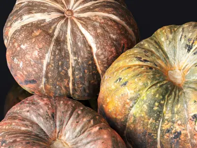 Pumpkin - 5 Models Low-poly 3D model