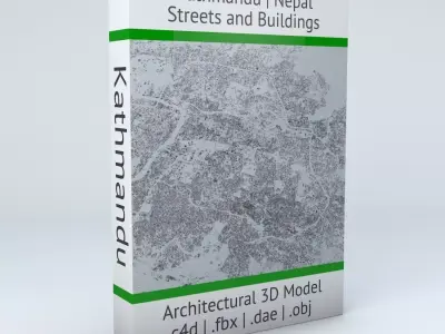 Kathmandu Streets and Buildings 3D model