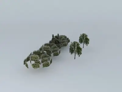 Street trees Minas Gerais Free 3D model