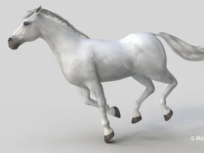  Horse PRO White 