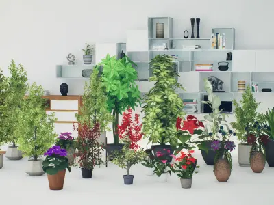 High-Poly Indoor Plants for Realistic Design Low-poly 3D model