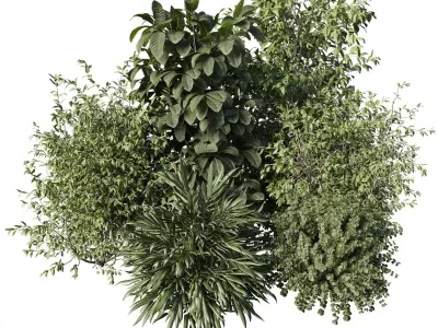 Collection mixed plants bush palm - shrubs set 06 Low-poly 3D model