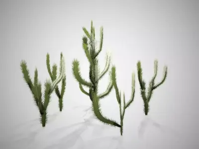 Cholla Cactus Tree Low-poly 3D model
