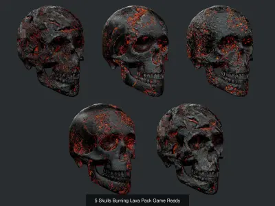 35 Skeleton Bone Pack Game Ready