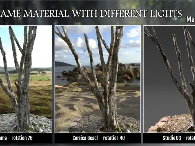 Megapack 100 Bark smart materials for Substance Painter Texture