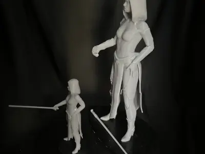 Mistress of the Dark Side 3D print model