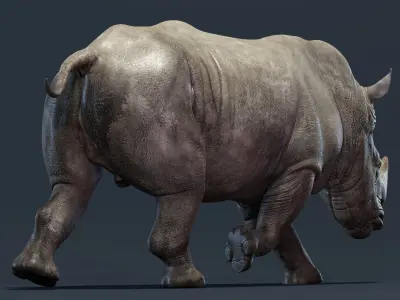  Rhino Family Animated 