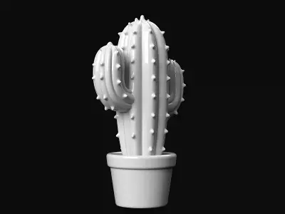 Cactus 3D print model