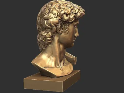 DAVID BUST 3D print model