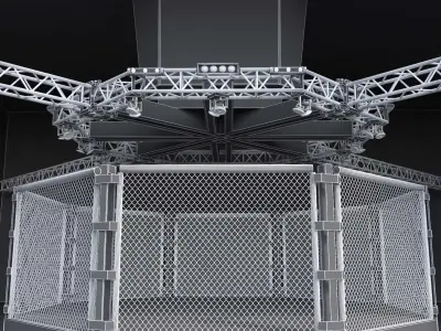 UFC Fighting Stage 3D model
