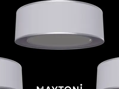 Ceiling lamp Bergamo MOD617CL-04GR Maytoni Modern Free 3D model