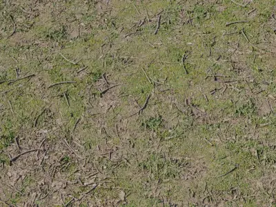 Realistic Muddy Grass Ground with Twigs Texture
