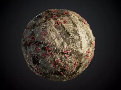 Mud Dirt Soil Damaged Floor Shotgun Shells Seamless PBR Texture Texture