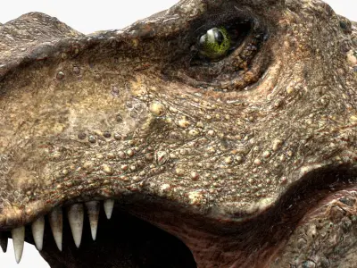  Tyrannosaurus Rex (Animated) (Rigged) 