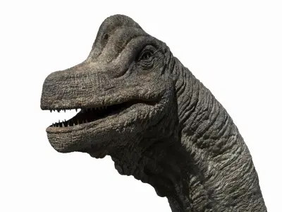  Brachiosaurus (Rigged) 