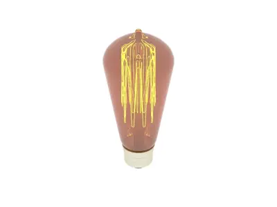 Edison Light Bulb 3D model