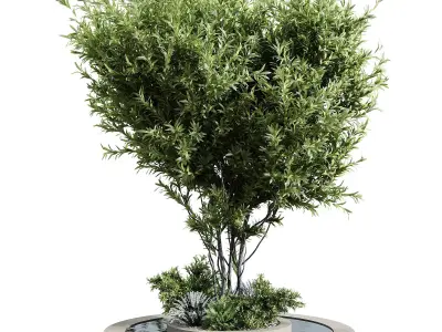 Outdoor Plants 6 3D model