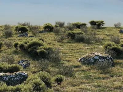 Forest Landscape 3D model