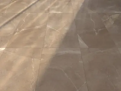 Marble Floor Pulpis Moca Set 2 Texture